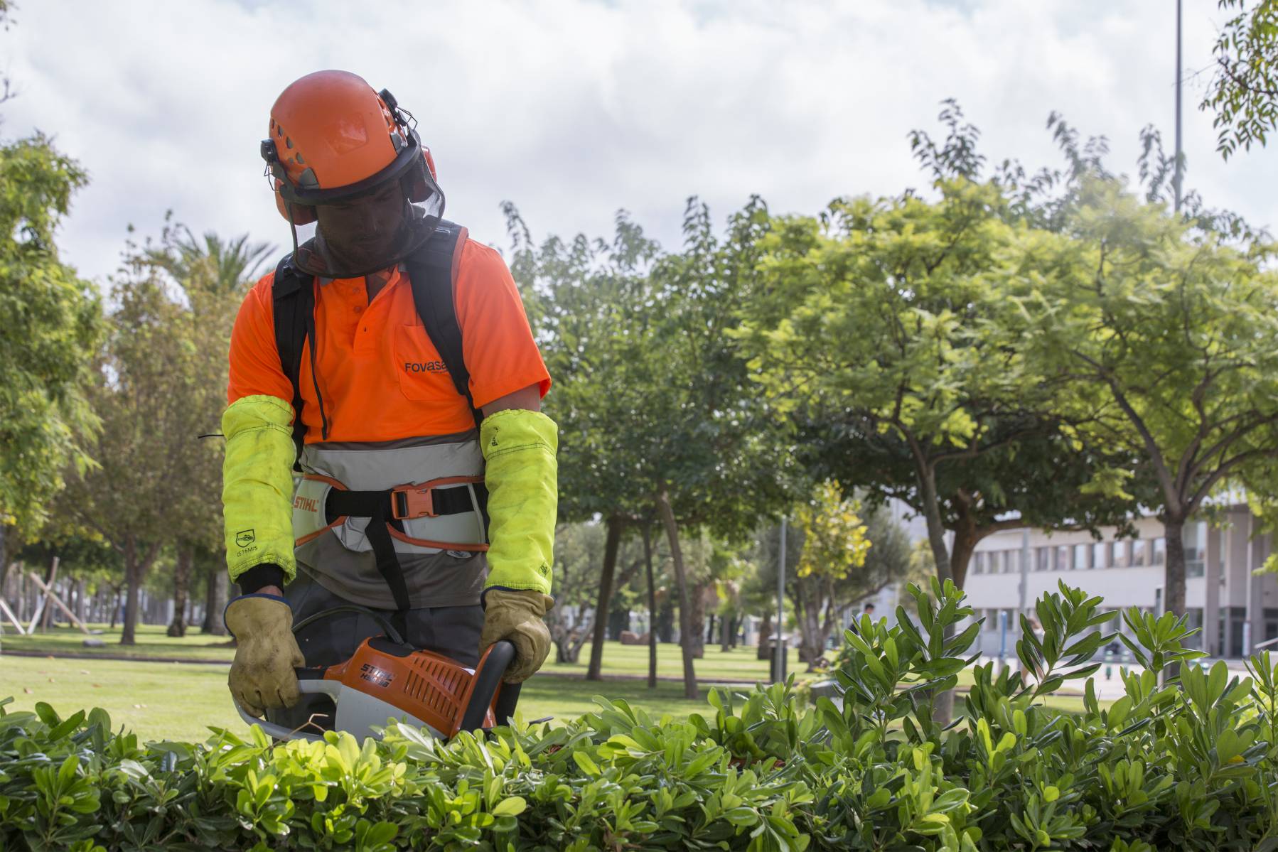 jardineria_medioambiente_servicios