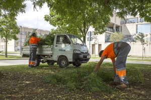 Jardinería-FOBESA-podas-fertilizantes