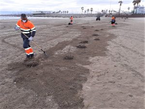 limpieza-playas-fovasa-valencia